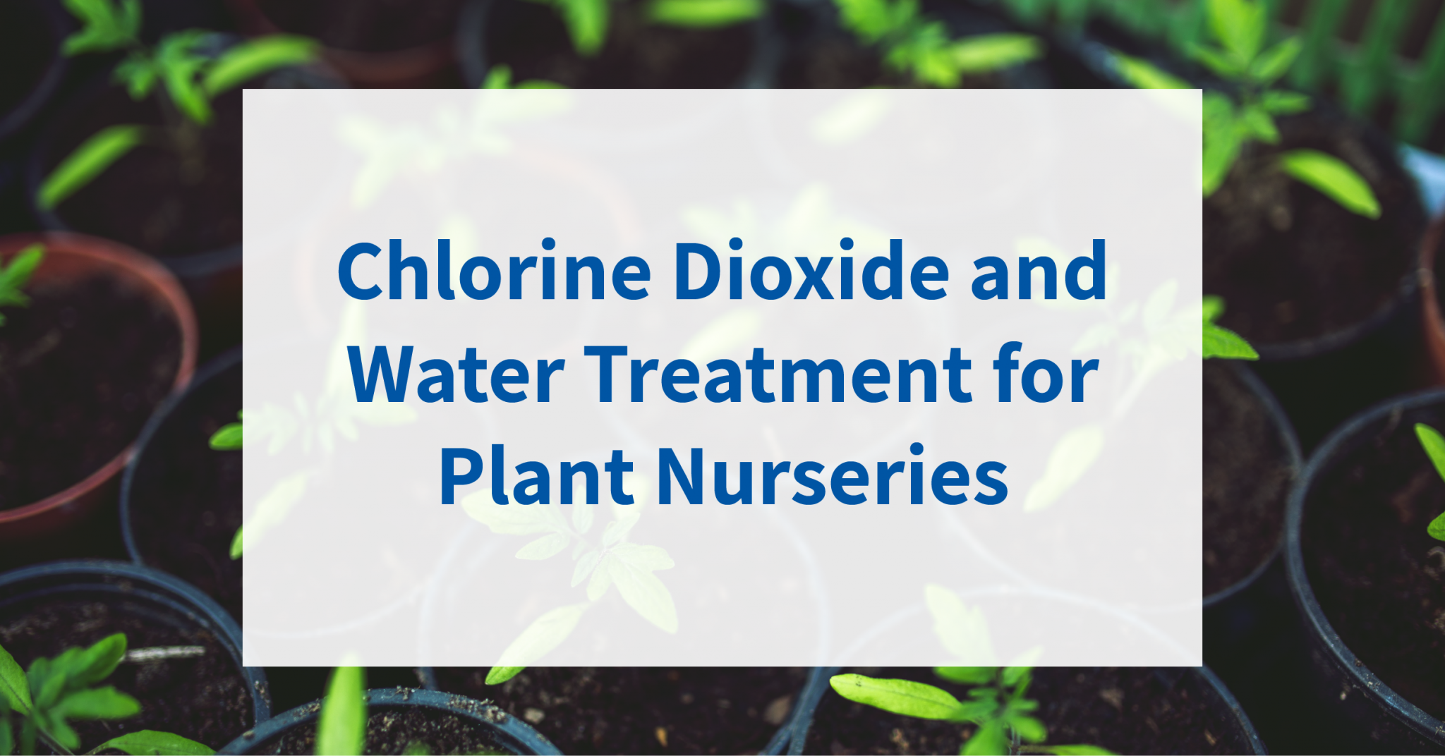 Chlorine Dioxide and water treatment for plant nurseries